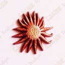 Micro Coin "Sunflower" - Bronze