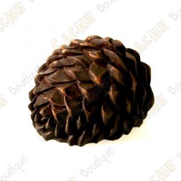 /405-1593-thickbox/cache-pine-cone-small-micro.jpg