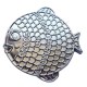 Geocoin "Rainbow Fish" - Girly Silver LE