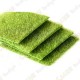 Artificial grass carpet