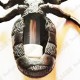 Cache "Bestiole" - Grosse fourmi
