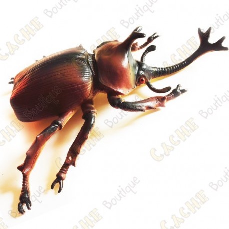 Cache "Bestiole" - Gros scarabée rhinocéros