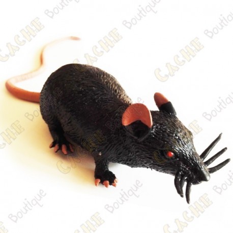Cache "Bestiole" - Rat noir