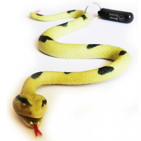 Cache "Bestiole" - Serpent