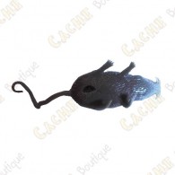 Cache "insect" - Grey mouse