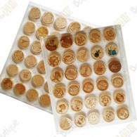 Pochette plastique à capsules pour géocoins en bois - 30 cases