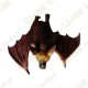 Cache "insect" - Medium Bat