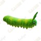 Cache "insect" - Green Medium worm