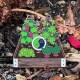 2026 CITO Geocoin
